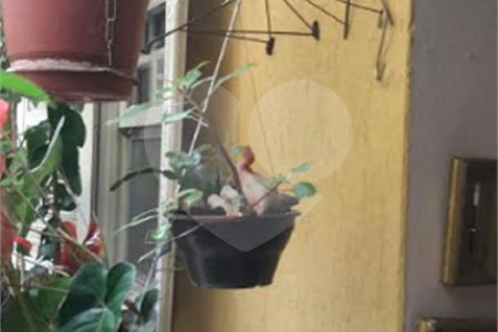 Sobrado à venda com 3 quartos em Santa Teresinha, São Paulo, SP