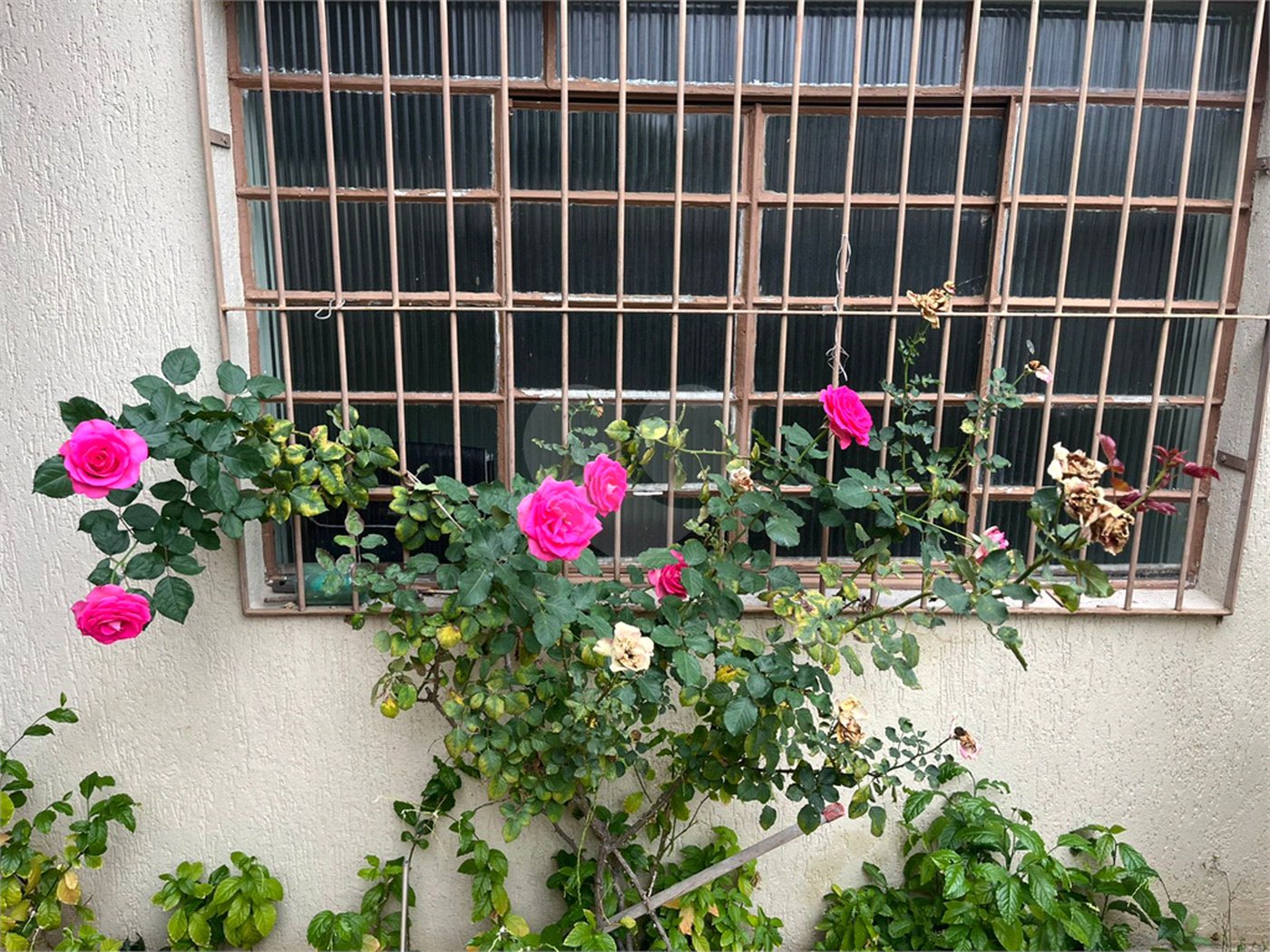 Sobrado à venda com 3 quartos em Mandaqui, São Paulo, SP