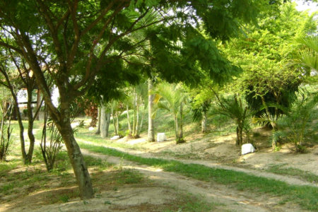 Área de Terra à venda em Colinas do Mosteiro de Itaici, Indaiatuba, SP