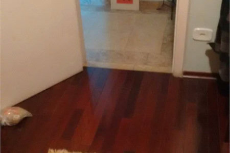 Apartamento à venda com 3 quartos, sendo 1 suíte, em Vila Romana, São Paulo, SP