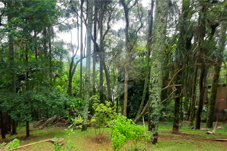 Casa à venda com 4 quartos, sendo 2 suítes, no condomínio Associação Reserva das Hortênsias, Mairiporã - SP