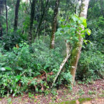 Terreno à venda no condomínio Sausalito, Mairiporã - SP