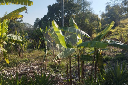 Chácara à venda com 6 quartos, sendo 1 suíte,  no Centro, Biritiba-mirim, SP
