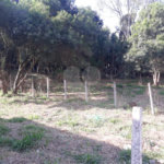Terreno à venda em Vila Nova São Roque, São Roque, SP