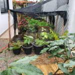 Casa à venda com 3 suítes no condomínio Village Ipanema 1, Araçoiaba da Serra - SP