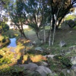 Casa à venda no condomínio Fazenda São Joaquim, Vinhedo - SP