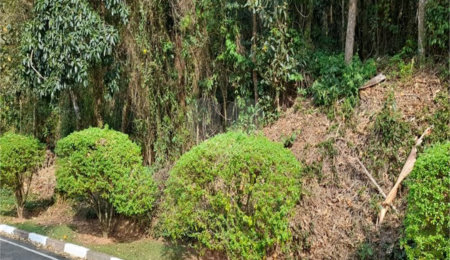 Terreno à venda em Roseira, Mairiporã, SP