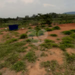 Área de Terra à venda no Centro, Bom Jesus dos Perdões, SP