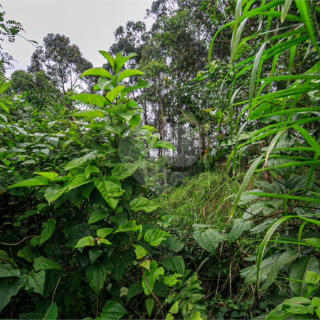 Terreno à venda em Morumbi, São Paulo, SP