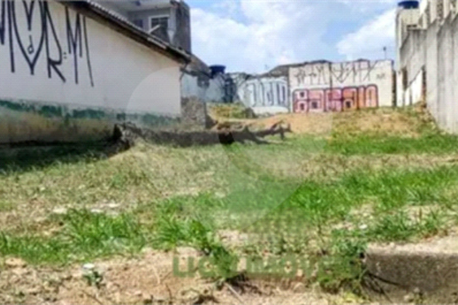 Terreno à venda com 2 quartos em Vila Maria, São Paulo, SP