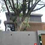 Casa à venda com 4 suítes no condomínio Plm 875, São Paulo - SP