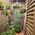 Casa à venda com 5 quartos, sendo 4 suítes, em Jardim do Carmo, Araraquara, SP