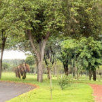 Terreno à venda em Vila do Golf, Ribeirão Preto, SP