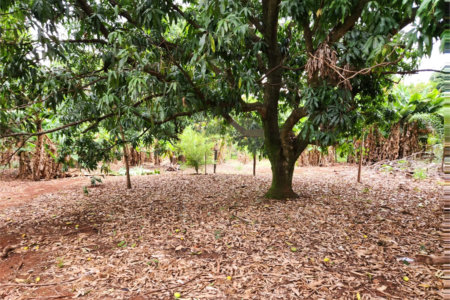 Chácara à venda com 2 quartos em Jardim Califórnia, Araraquara, SP