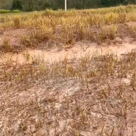 Terreno à venda no condomínio Mosaico Horizontes, Mogi das Cruzes - SP