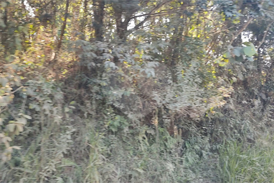 Terreno à venda em Luiz Fagundes, Mairiporã, SP
