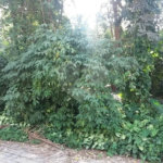 Terreno à venda em Tremembé, São Paulo, SP