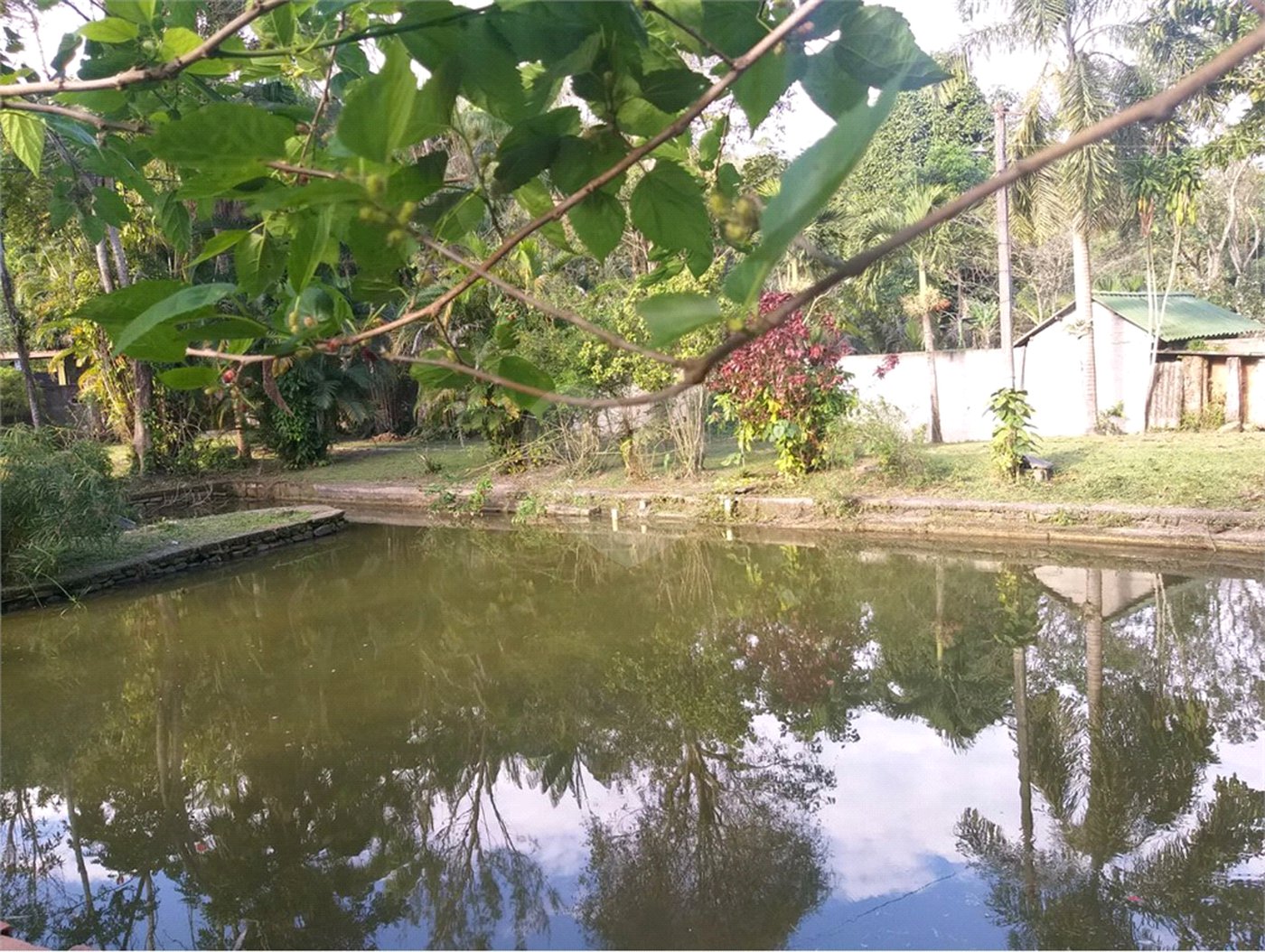 Sítio à venda com 5 quartos, sendo 2 suítes,  em Parque Recreio Dom Pedro Ii (guia de Pacobaíba), Magé, RJ