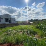 Terreno com 570,00 m² no Santa Mônica