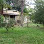 Sitio para venda.