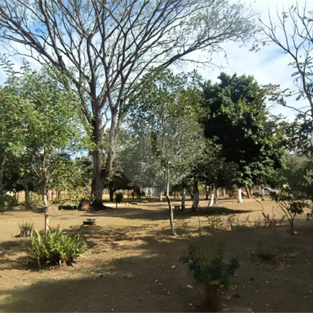 Chácara dos Sonhos à Venda – São Carlos/SP – Recreio Campestre