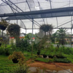 Terreno residencial/comercial com 1245m² a venda ou locação no Alto da Boa Vista, São Paulo - SP