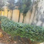 Belíssima casa com 04 dormitórios em Itanhaém