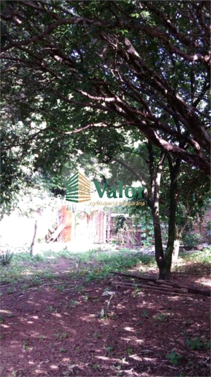 Terreno com uma casa antiga