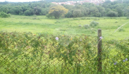 Terreno à venda em Chácaras Veneza, Piracicaba, SP