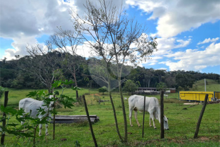 VENDA SÍTIO 48 hectares com estruura para granja, hidroponia e gado