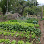 Excelente imóvel rural na cidade de Piedade/SP