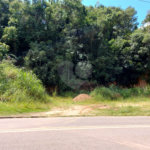 Terreno à venda em Abadia, Louveira, SP