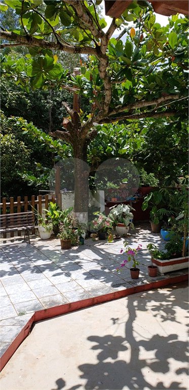 Sitio para venda.