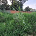 Terreno Residencial no Aracy