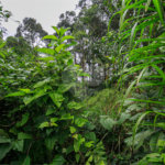 Terreno à venda em Morumbi, São Paulo, SP