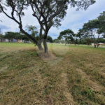 Loteamento Residencial no Condomínio Vila Pinhal do Broa
