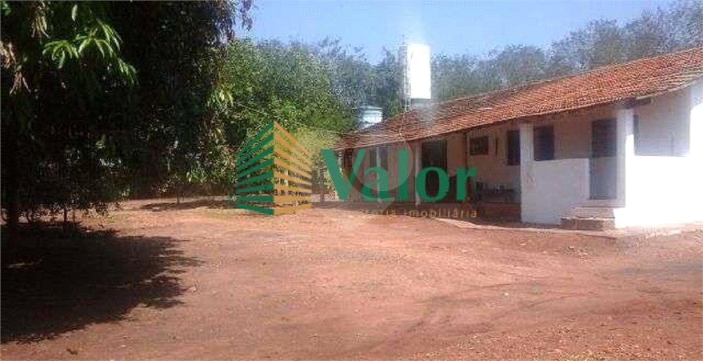 Sítio Estrada São Carlos Ribeirão - próximo São Carlos