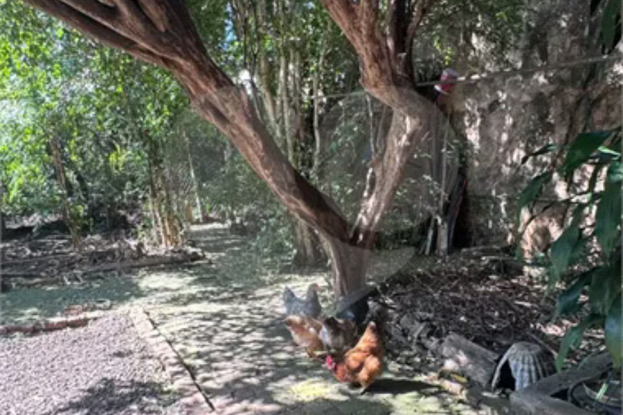 Casa à venda com 4 quartos no Centro, Piracicaba, SP
