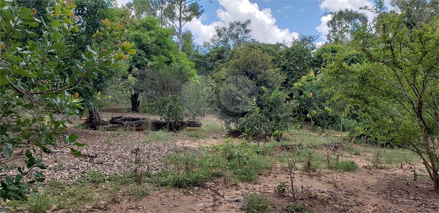Sitio para venda.
