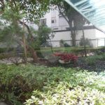Apartamento à venda com 3 quartos, sendo 1 suíte, em Santa Cecília, São Paulo, SP
