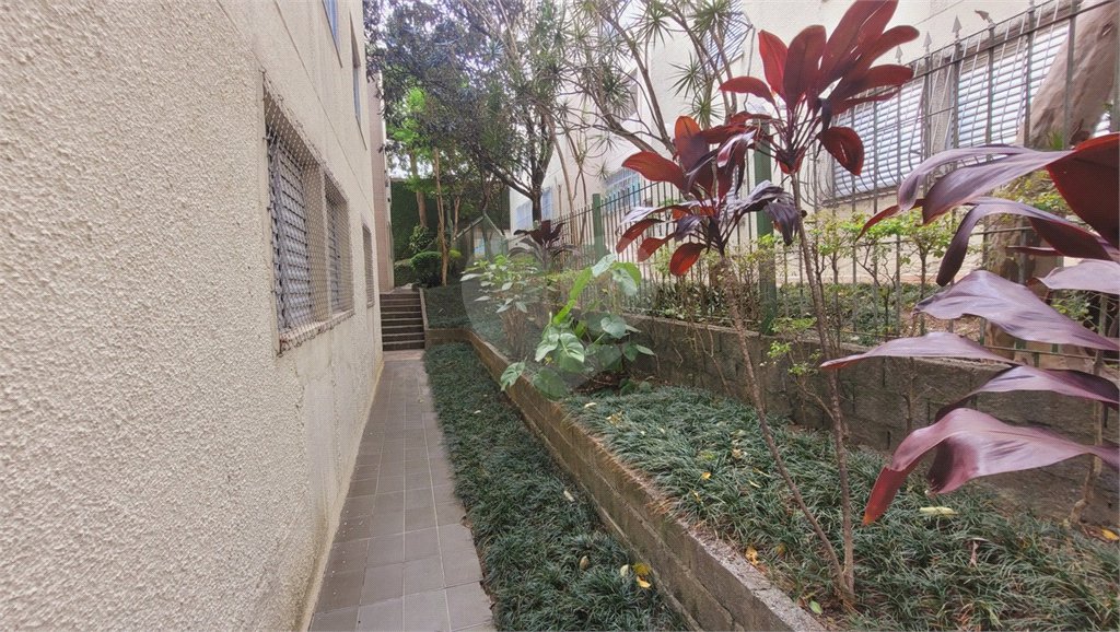 Apartamento à venda com 3 quartos em Alto de Pinheiros, São Paulo, SP