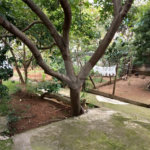 Casa à venda com 2 quartos em Jardim do Triunfo, Guarulhos, SP
