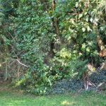 Terreno à venda no condomínio Associação Reserva das Hortênsias, Mairiporã - SP