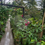 Terreno à venda ou para alugar em Horto, São Paulo, SP