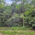 Terreno à venda em Chácara Recreio Lagoa dos Patos, Jundiaí, SP