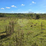 Terreno à venda em Cercadinho, Alambari, SP