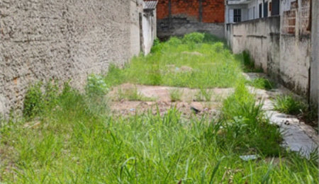 Terreno à venda em Casa Verde, São Paulo, SP