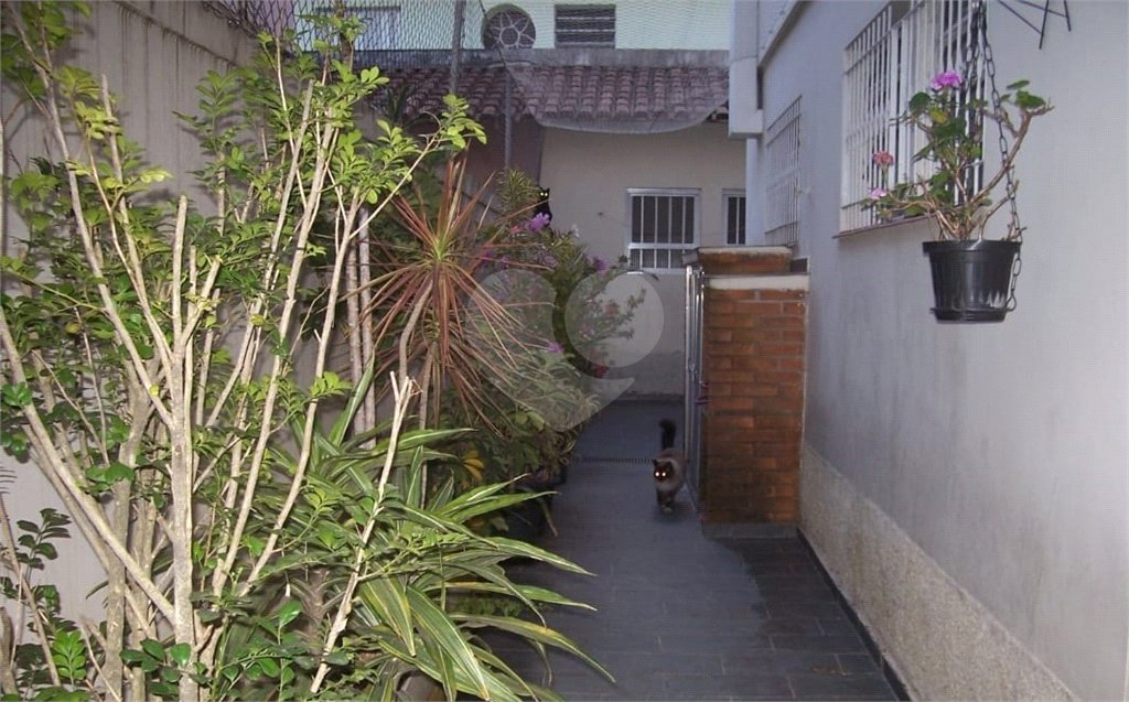 Sobrado à venda com 3 quartos, sendo 1 suíte, em Vila Mascote, São Paulo, SP