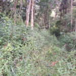 Terreno à venda em Terra Preta (terra Preta), Mairiporã, SP
