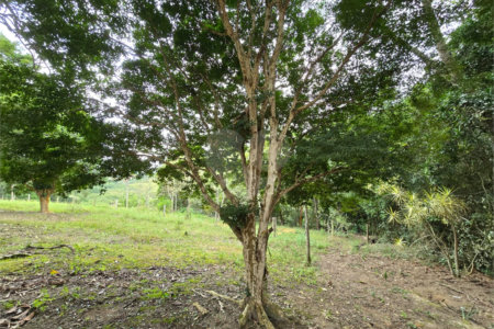 Sítio à venda com 6 quartos, sendo 5 suítes, em Área Rural de Itapetininga, Itapetininga, SP